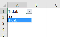 Cara Membuat PIlihan Ya dan Tidak Dengan Menggunakan Data Validation Excel